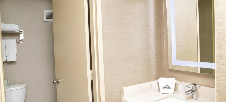 渥太华温德姆戴斯酒店(Days Inn by Wyndham Ottawa)图片