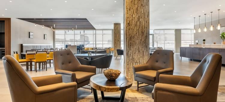 坎布里亚酒店-布卢明顿美国购物中心明尼阿波利斯机场(Cambria Hotel Bloomington Mall of America Minneapolis Airport)图片