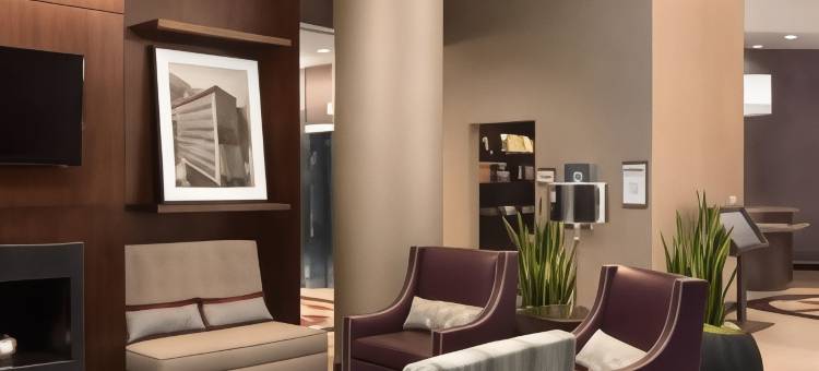 圣路易斯市中心希尔顿安泊酒店(Embassy Suites by Hilton St. Louis Downtown)图片