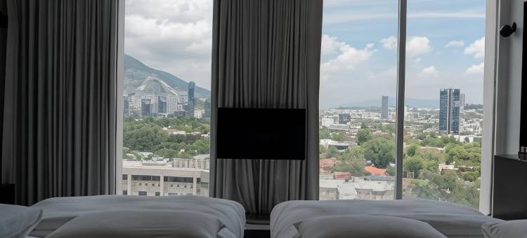 蒙特雷哈比塔酒店 - 设计酒店会员(Habita Monterrey, a Member of Design Hotels)图片