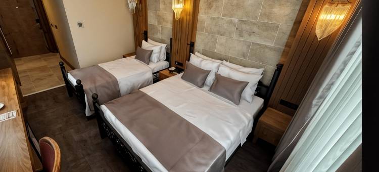 图里斯蒂克帕拉斯酒店(Turistik Palas Hotel)图片