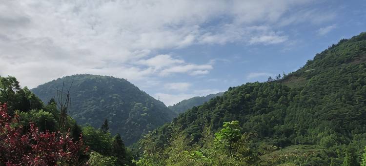 都江堰云顶山庄图片