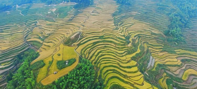 云和丰韵农家图片