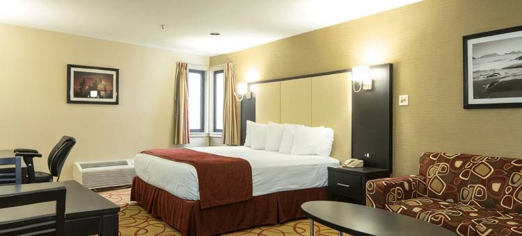 辛巴达斯套房酒店(Sinbads Hotel & Suites)图片
