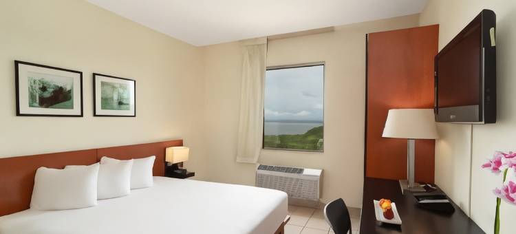 利尔拉乌尼翁舒适酒店(Comfort Inn Real la Union)图片