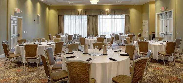 圣路易斯机场希尔顿花园酒店(Hilton Garden Inn St. Louis Airport)图片