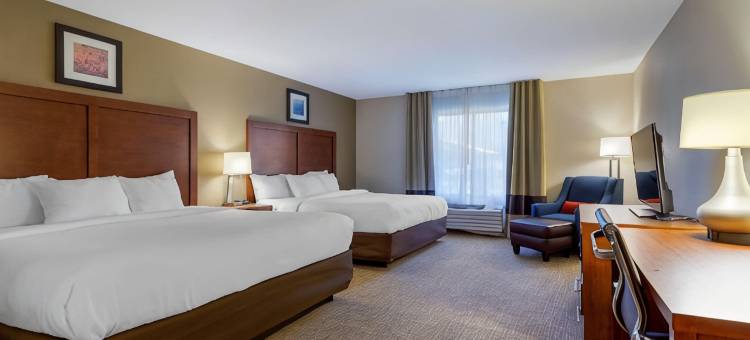 剑桥套房舒适酒店(Comfort Inn & Suites Cambridge)图片