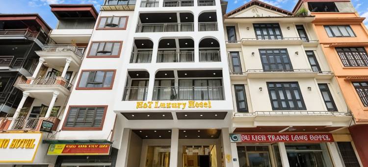 H&T豪华酒店(Palette H&T Centre Sapa Hotel)图片