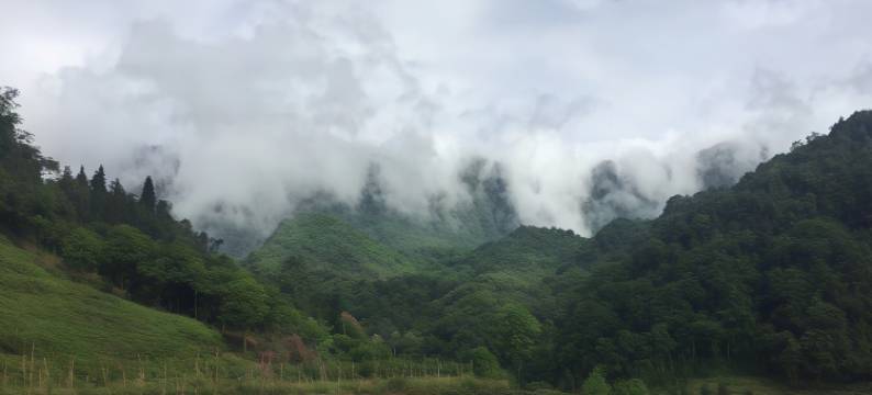 雅安凤梧兴居农家乐图片