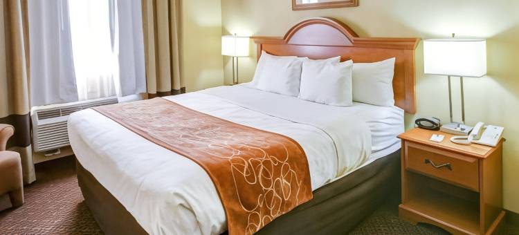 布伦纳姆舒适全套房酒店(Comfort Suites)图片