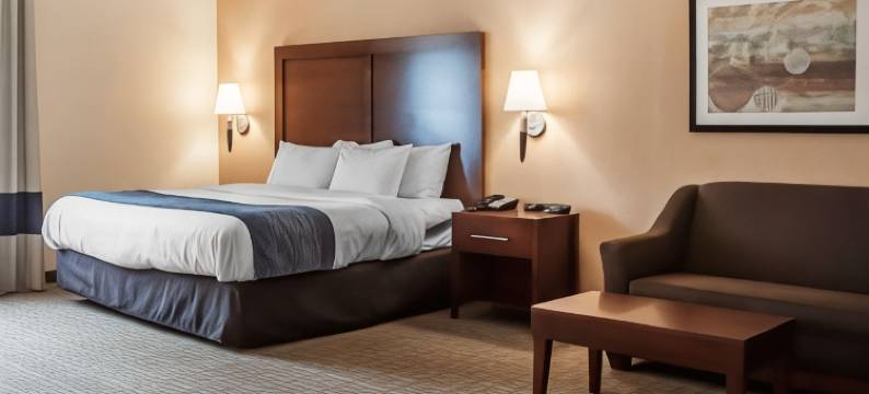 舒适酒店及套房-汉堡-南布法罗(Comfort Inn & Suites Hamburg - Buffalo South)图片