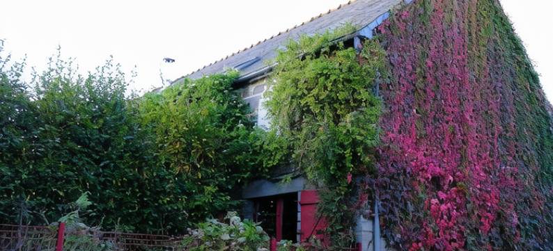 尤尼埃拉雅奈宅邸(La Maison Jaune à la Janaie)图片