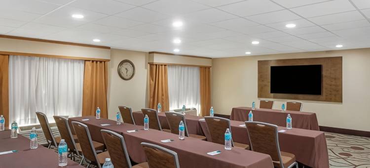 萨拉索塔 I75 舒适套房酒店(Comfort Inn & Suites Sarasota I75)图片