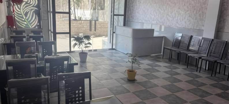 哈努曼宫酒店(Hotel Hanuman Palace)图片