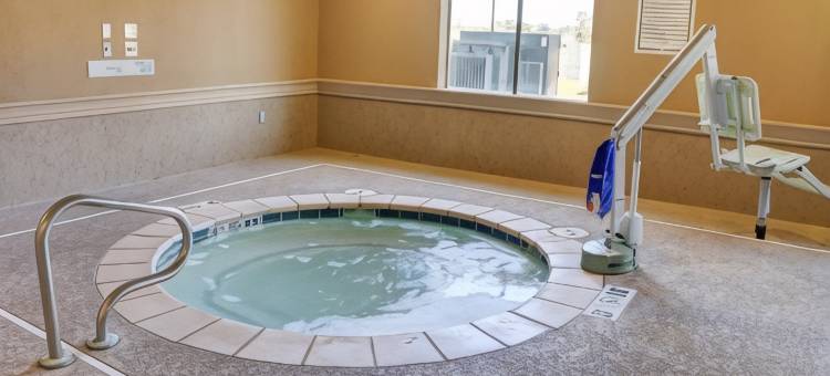 智选假日套房酒店特克萨卡纳东(Holiday Inn Express & Suites Texarkana East)图片