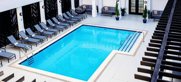 奇夫利休斯顿希尔顿启缤精选酒店(The Chifley Houston, Tapestry Collection by Hilton)图片