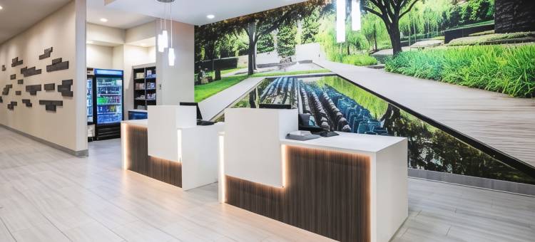 达拉斯理查森拉昆塔温德姆套房酒店(La Quinta Inn & Suites by Wyndham Dallas - Richardson)图片