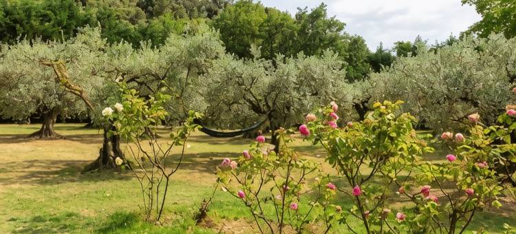 梅斯的温柔(Douceur des Mées)图片