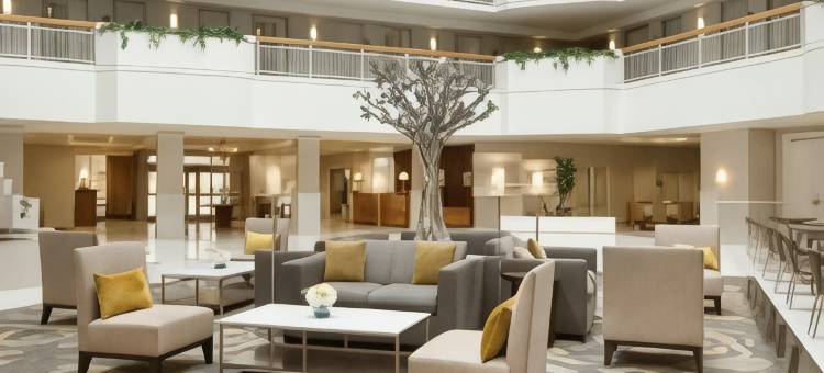 纽华克威尔明顿南希尔顿旗下大使套房酒店(Embassy Suites by Hilton Newark Wilmington South)图片