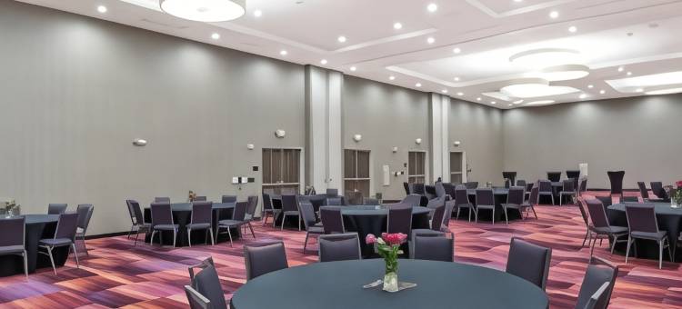 希尔顿惠庭酒店-达拉斯迪索托(Home2 Suites by Hilton Dallas DeSoto)图片