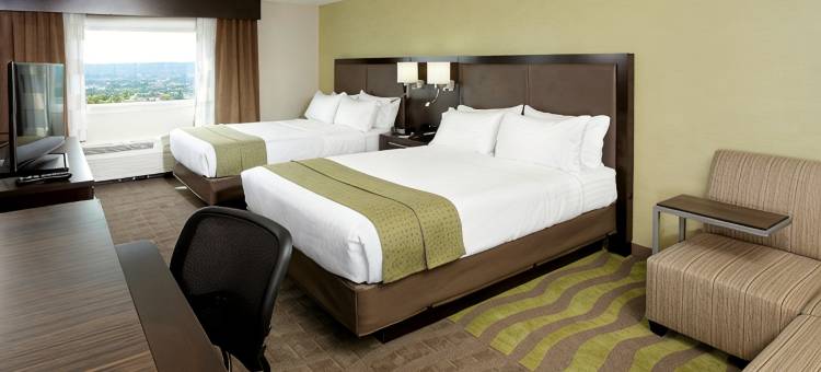 威尔克斯-巴里假日酒店(Holiday Inn Wilkes Barre - East Mountain)图片