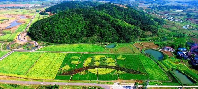 马鞍山极峰四季民宿图片