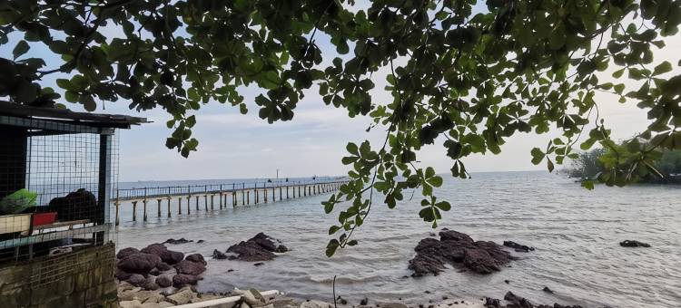 Port Dickson Pool Villa - Ruma66 (Up to 22 Pax)图片