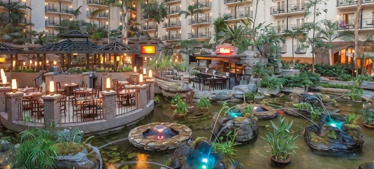 盖洛德欧普兰度假酒店和会议中心(Gaylord Opryland Resort & Convention Center)图片