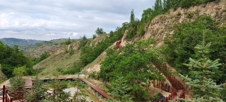 固原黄土塬牡丹山庄图片
