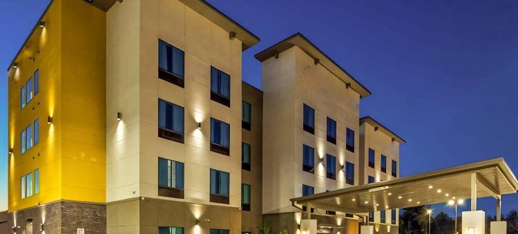 休斯顿 I-45 北 - IAH 舒适套房酒店(Comfort Inn & Suites Houston I-45 North - IAH)图片