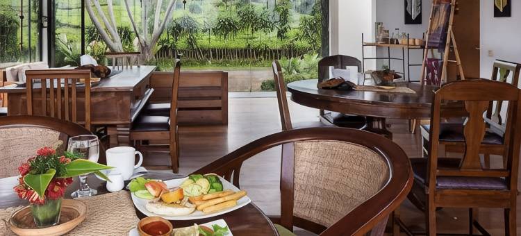 茶园度假村(Tea Garden Resort)图片