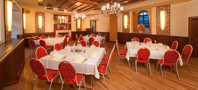 戈尔登阿德勒斯塔德古特酒店(Stadt-Gut-Hotel Gasthof Goldener Adler)图片