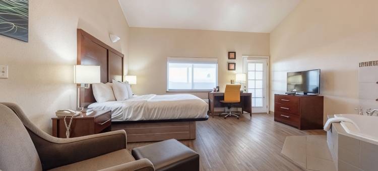 阿拉莫萨舒适套房酒店(Comfort Inn & Suites Alamosa)图片