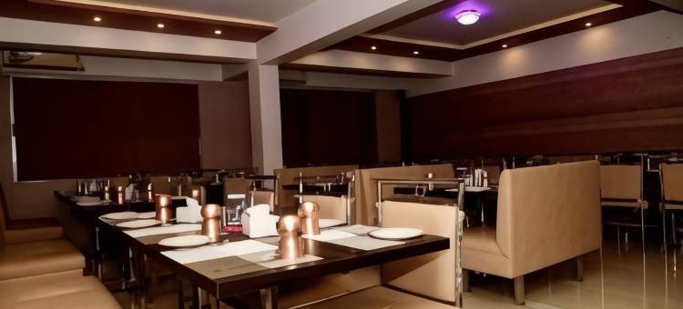 摩纳克中心点酒店(Hotel Monarch Center Point Near Dahanu Beach, Bordi)图片