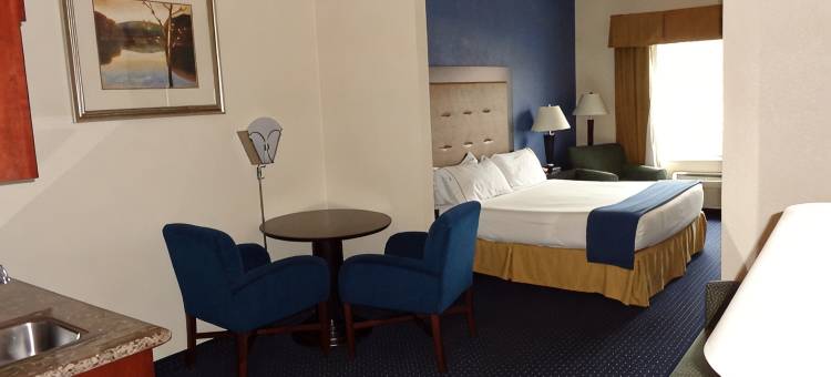 智选假日套房酒店新的水牛城，MI(Holiday Inn Express & Suites NEW BUFFALO, MI by IHG)图片