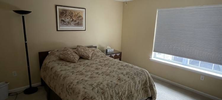 马斯托普-大熊-拉克瓦克森-豪华四卧室-游戏室木屋(Masthope-Big Bear-Lackawaxen-Luxury 4 Bedroom-Game Room)图片