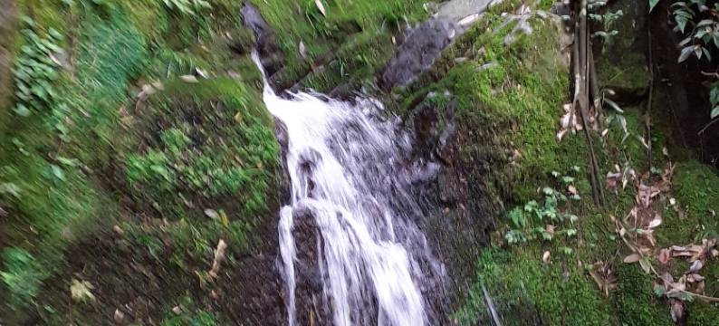 桐庐千千民宿图片