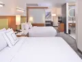 一室公寓套房 - 帶2張大床和沙發床