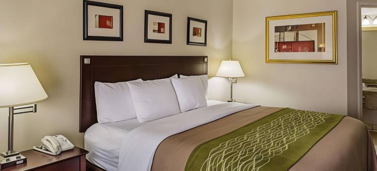 西公园西南高速公路舒适酒店及套房(Comfort Inn Southwest Fwy at Westpark)图片