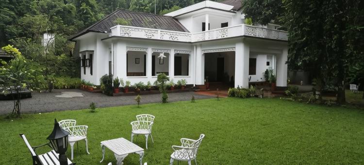 Vanilla County图片