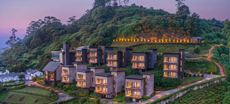 金岭酒店(The Golden Ridge Hotel)图片