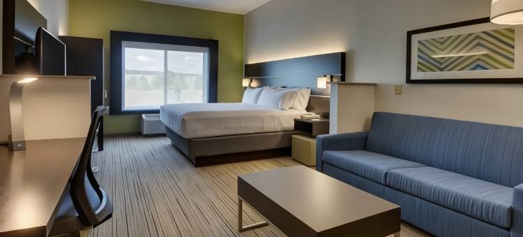 智选假日套房酒店莫里斯(Holiday Inn Express & Suites Morris)图片