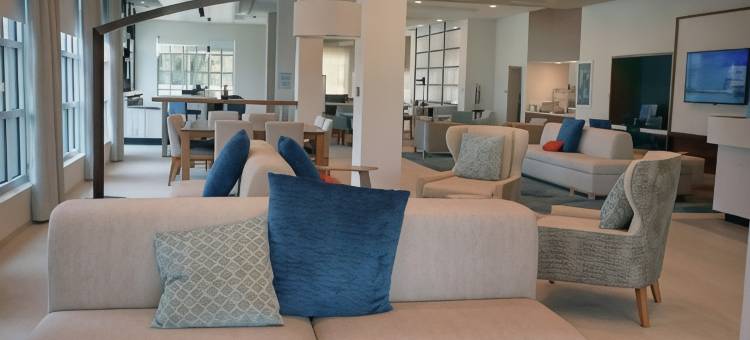 佛罗里达坦帕 - 韦斯利查普尔希尔顿花园酒店(Hilton Garden Inn Tampa - Wesley Chapel)图片