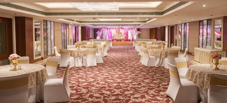 阿格拉宫殿PL酒店(The P L Palace Agra)图片