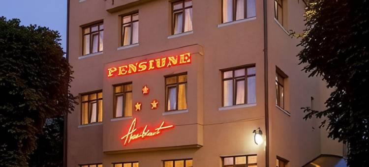 安姆比恩特膳食公寓酒店(Pensiunea Ambient)图片