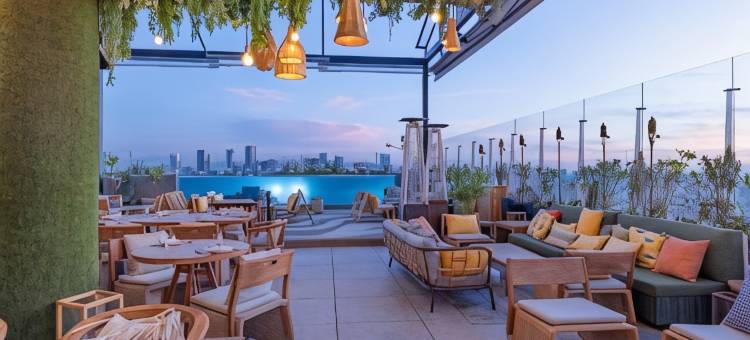 安达仕墨西哥城孔德萨酒店(ANDAZ CONDESA MEXICO CITY, BY HYATT)图片