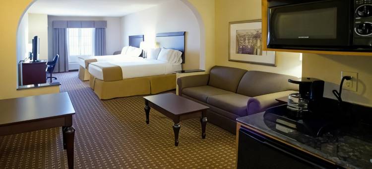 智选假日套房酒店金斯维尔(Holiday Inn Express & Suites Kingsville)图片