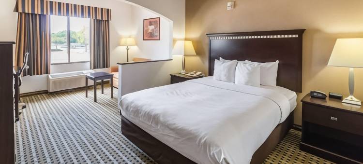 伯利森-沃斯堡品质酒店(Quality Suites, Ft Worth Burleson)图片