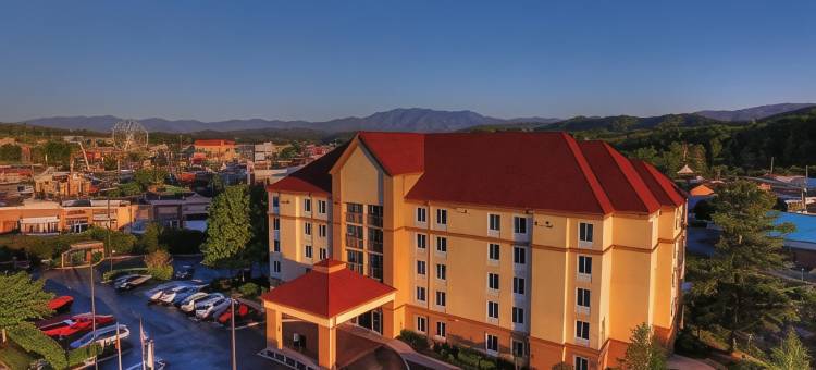 鸽子谷拉昆塔温德姆套房酒店(La Quinta Inn & Suites by Wyndham Pigeon Forge)图片