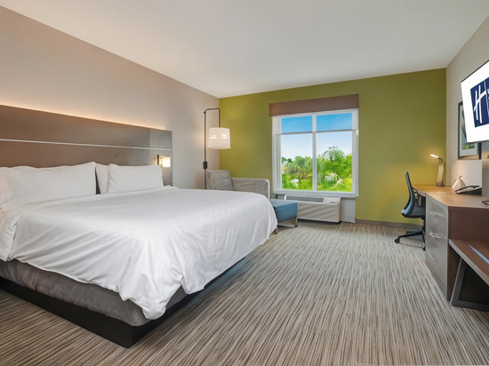 智选假日套房酒店奥兰多 - 阿波普卡